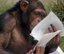 С этой декларацией ей поможет человек